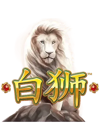 বাই শি Slot Game tk999